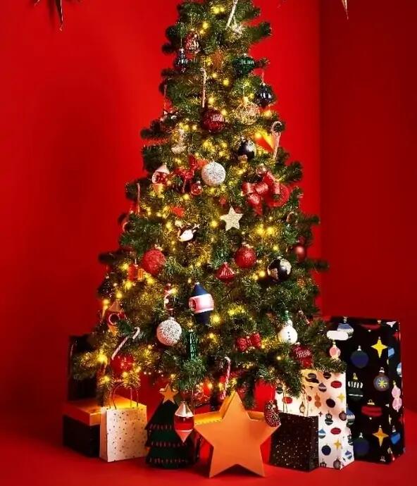 Kerst 2024 - de Warrel